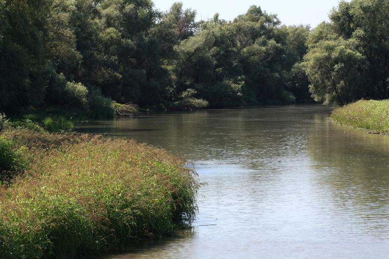 290-Delta del Danubio,7 agosto 2011.JPG